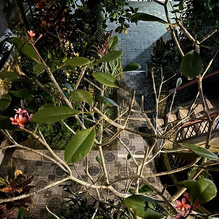 Balimas Guest House أوبود المظهر الخارجي الصورة