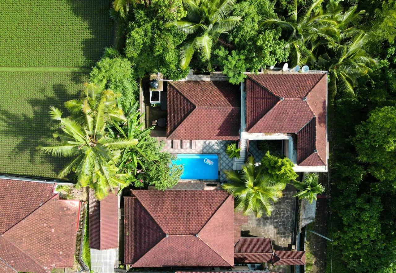 Balimas Guest House أوبود المظهر الخارجي الصورة